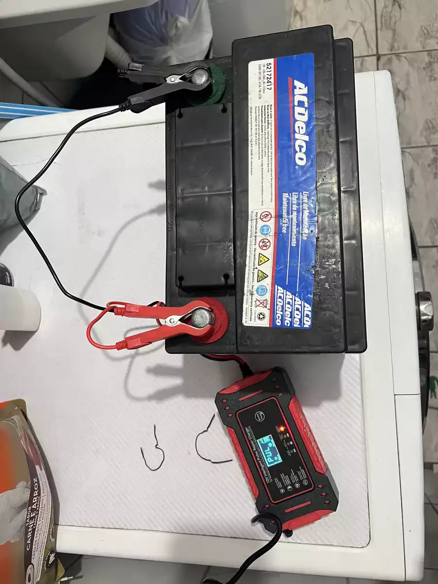 Cargador Inteligente 12V con Reparación por Pulso