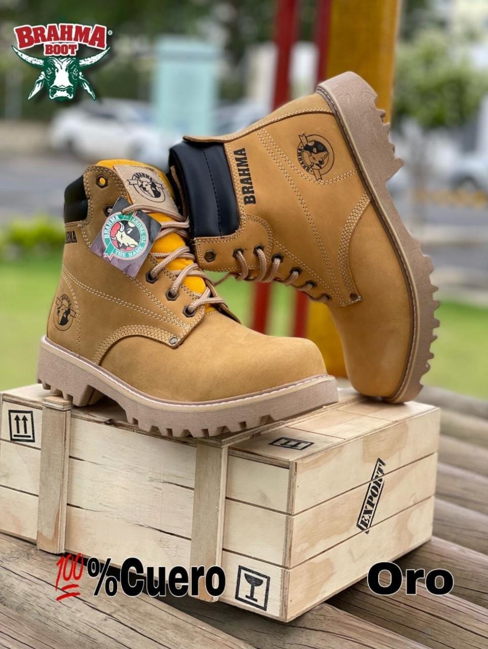 Bota BRAHMA Clásica en Cuero